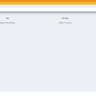Voice Management